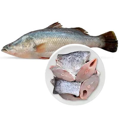 Sea Koral Fish White (M) ±50gm