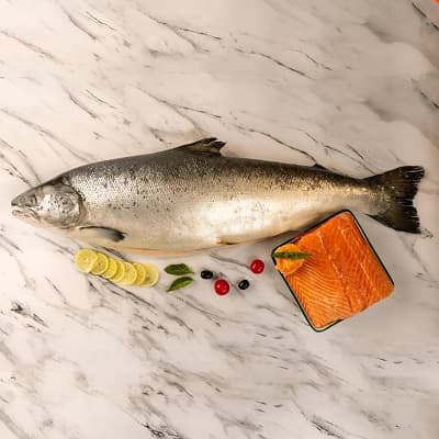 Salmon Fish Indian (2-3KG) ±50gm