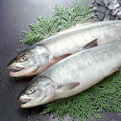 Salmon Fish Atlantic Whole (3-4KG) ±50gm