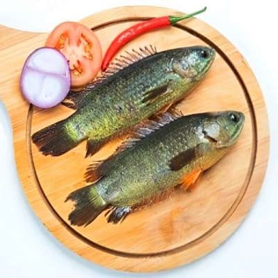 Deshi Koi (Rajshahi) ±30gm